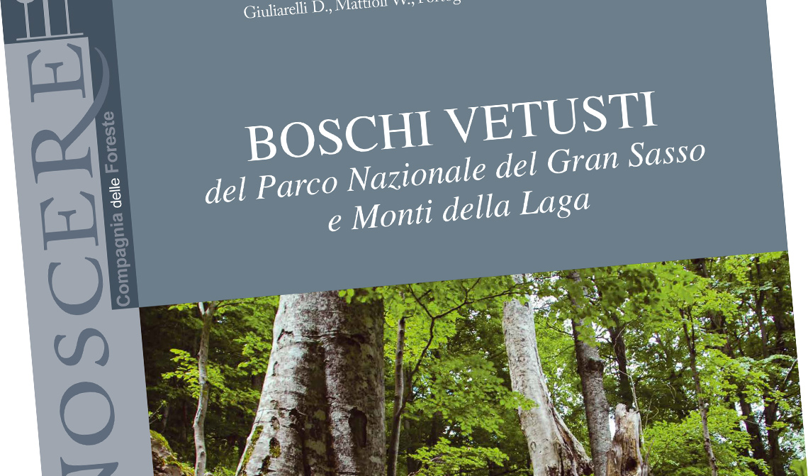 Nuovo libro: Boschi Vetusti del P.N. Gran Sasso e Monti della Laga