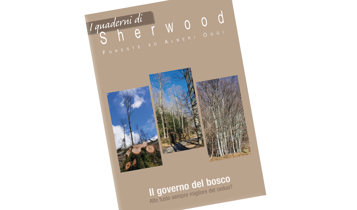 Nuovo “Quaderno di Sherwood” sulla scelta del tipo di governo del bosco