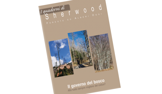 Nuovo “Quaderno di Sherwood” sulla scelta del tipo di governo del bosco