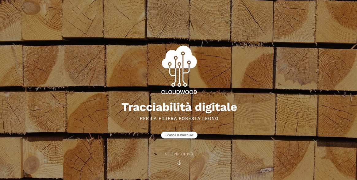 Tracciabilità del legno: webdoc e brochure per il progetto CloudWood