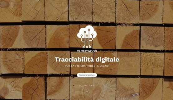 Tracciabilità del legno: webdoc e brochure per il progetto CloudWood