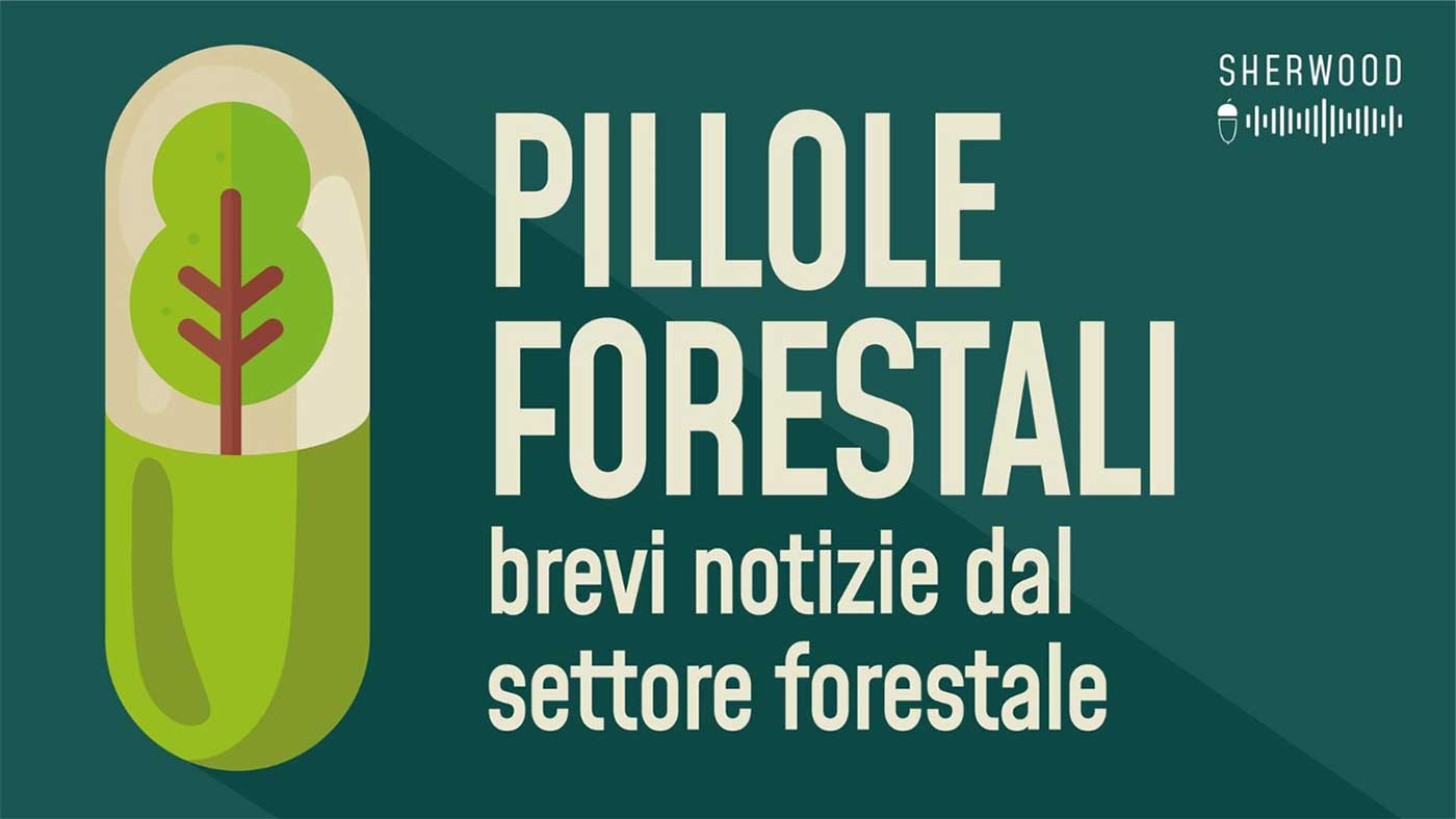 Notizie Forestali in pillole, da ascoltare o leggere