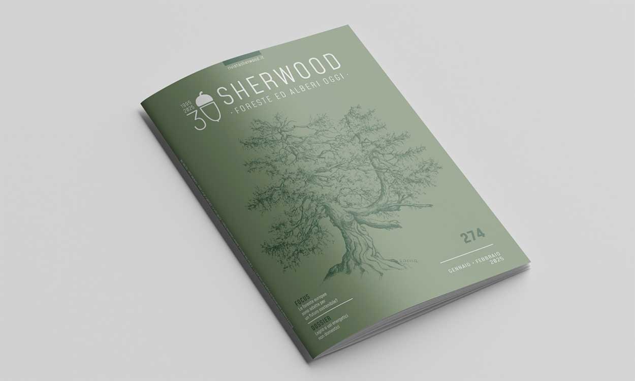 Rivista Sherwood: trent'anni di impegno per la diffusione della cultura forestale e la tutela del patrimonio boschivo italiano