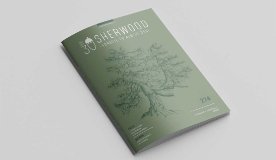 Rivista Sherwood: trent'anni di impegno per la diffusione della cultura forestale e la tutela del patrimonio boschivo italiano