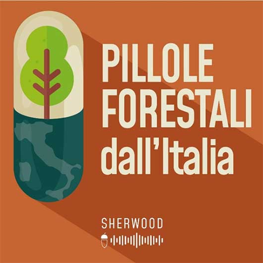 Pillole forestali dall'Italia