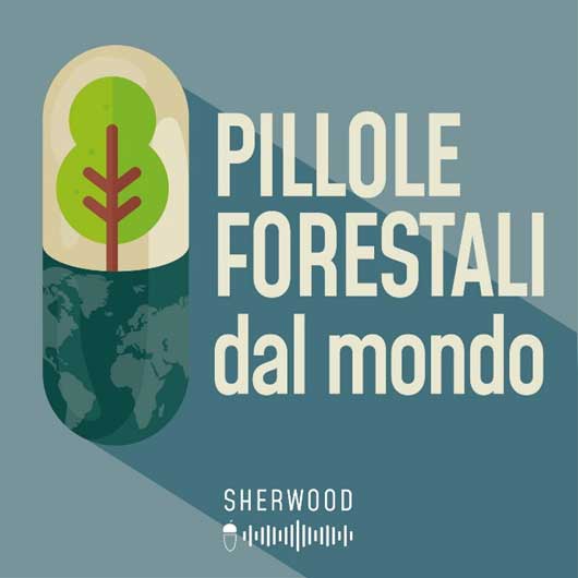 Pillole forestali dal Mondo