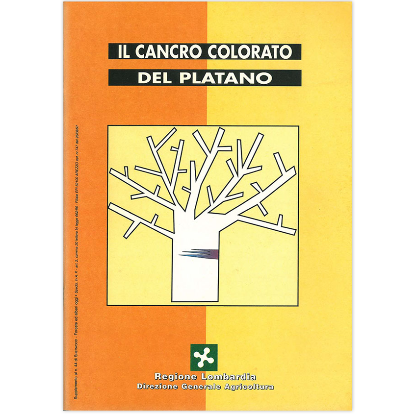 27 Il cancro colorato del platano